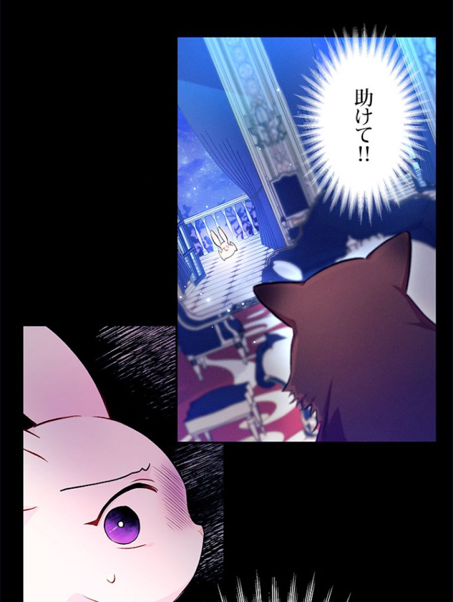 ウサギと黒ヒョウ様の共生関係 - 第14話 - Page 12