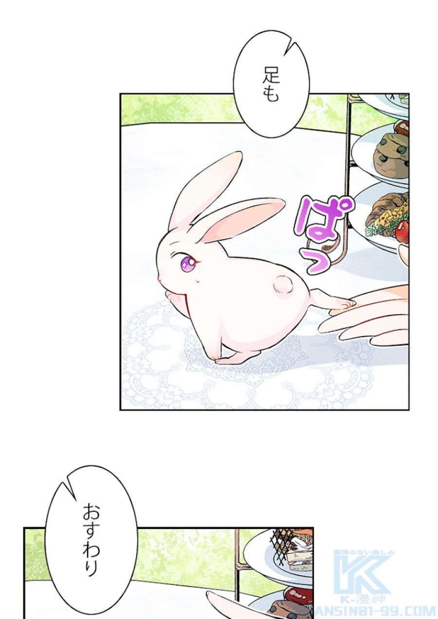 ウサギと黒ヒョウ様の共生関係 - 第5話 - Page 22